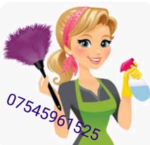 Domestic cleaning service 