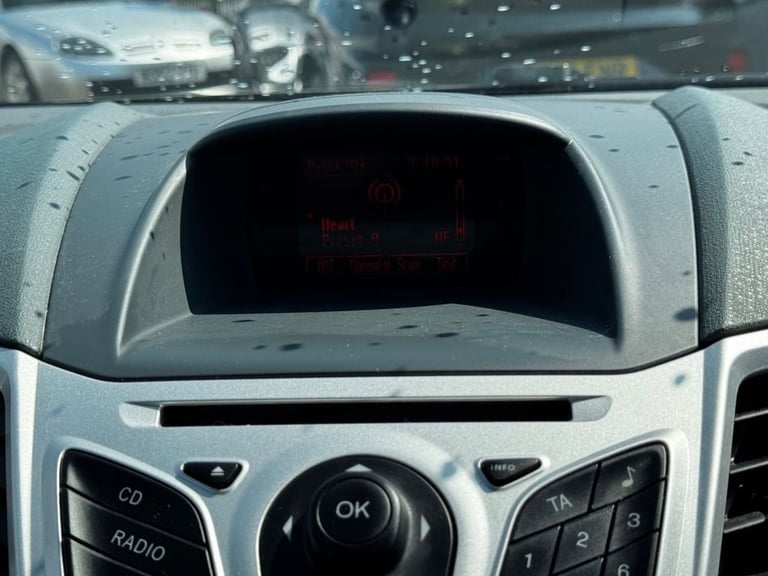 2009 Ford Fiesta 1.6 TDCi Titanium Hatchback 3 Door Squeeze Metallic Diesel Manual (110 g/km Hatc...