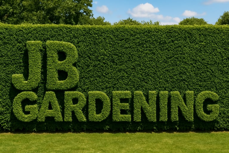 image for Does your Hedge Need a Tidy Before Winter?