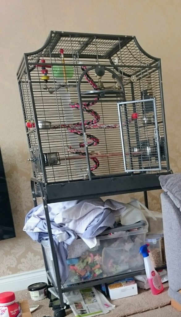 Large bird cage a