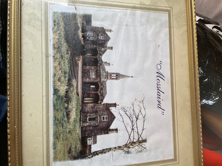image for Picture
