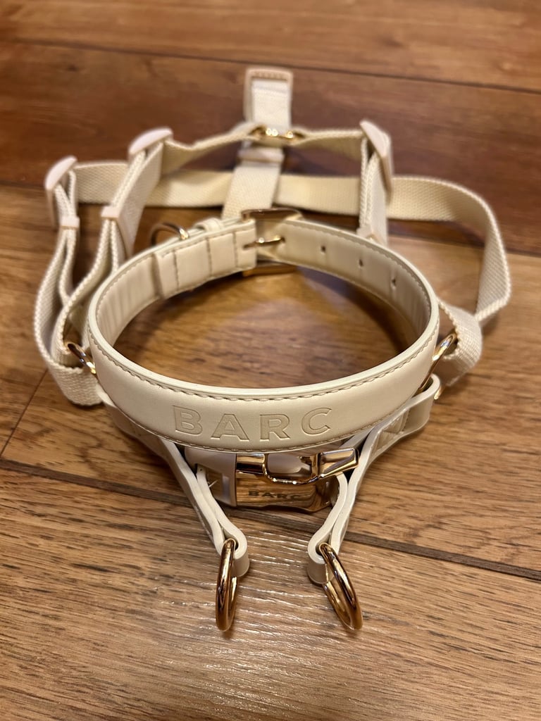BARC (of London) Dog Collar & Harness
