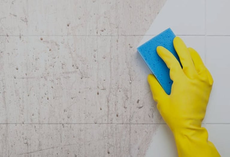 Professional Domestic and Commercial Cleaning Services 