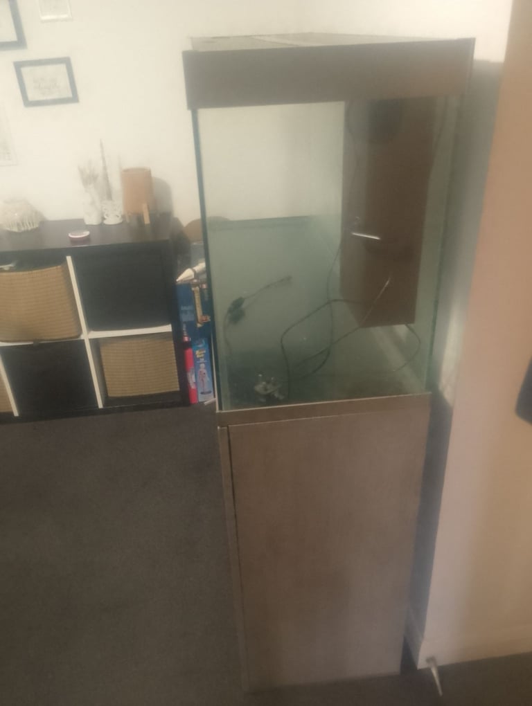 Ciano fish tank 