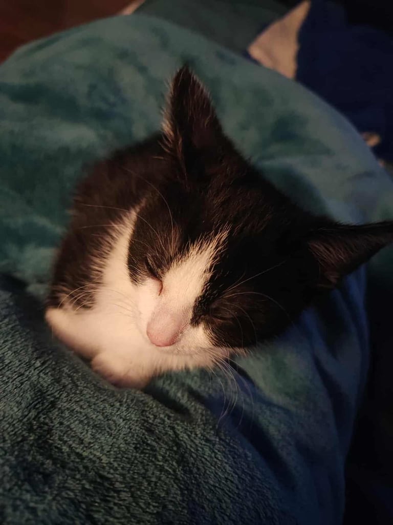 Little  girl for sales 