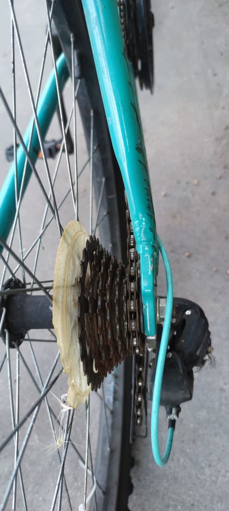 Bicycle (adult bike)