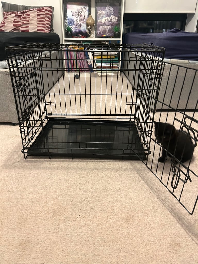 Medium dog/cat cage