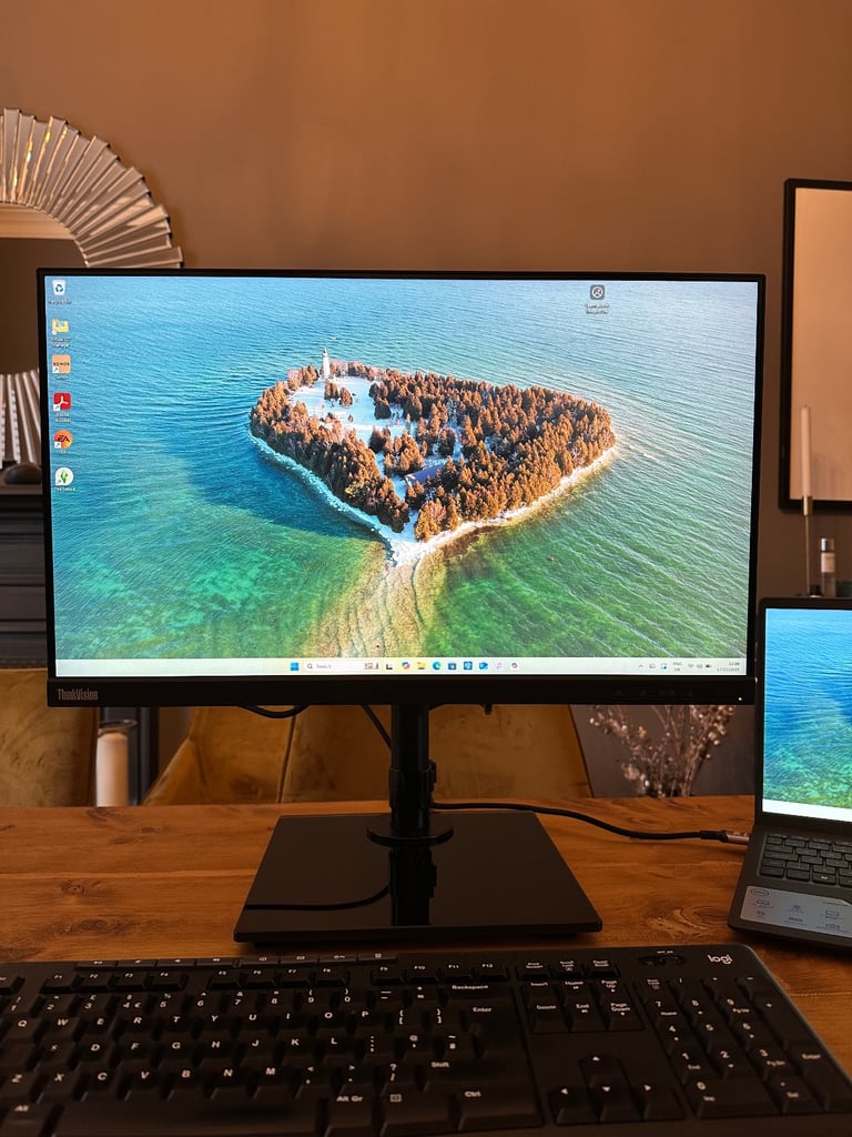 Lenovo ThinkVision 23.8 inch HD LED Monitor