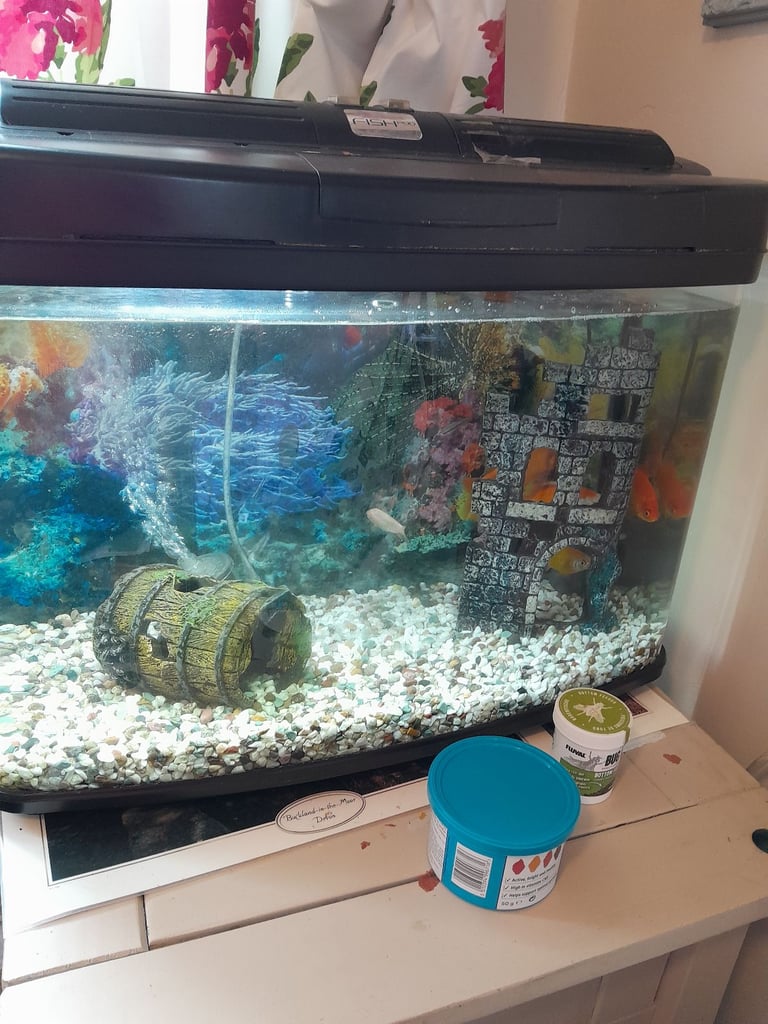 image for 72 litre fish tank 