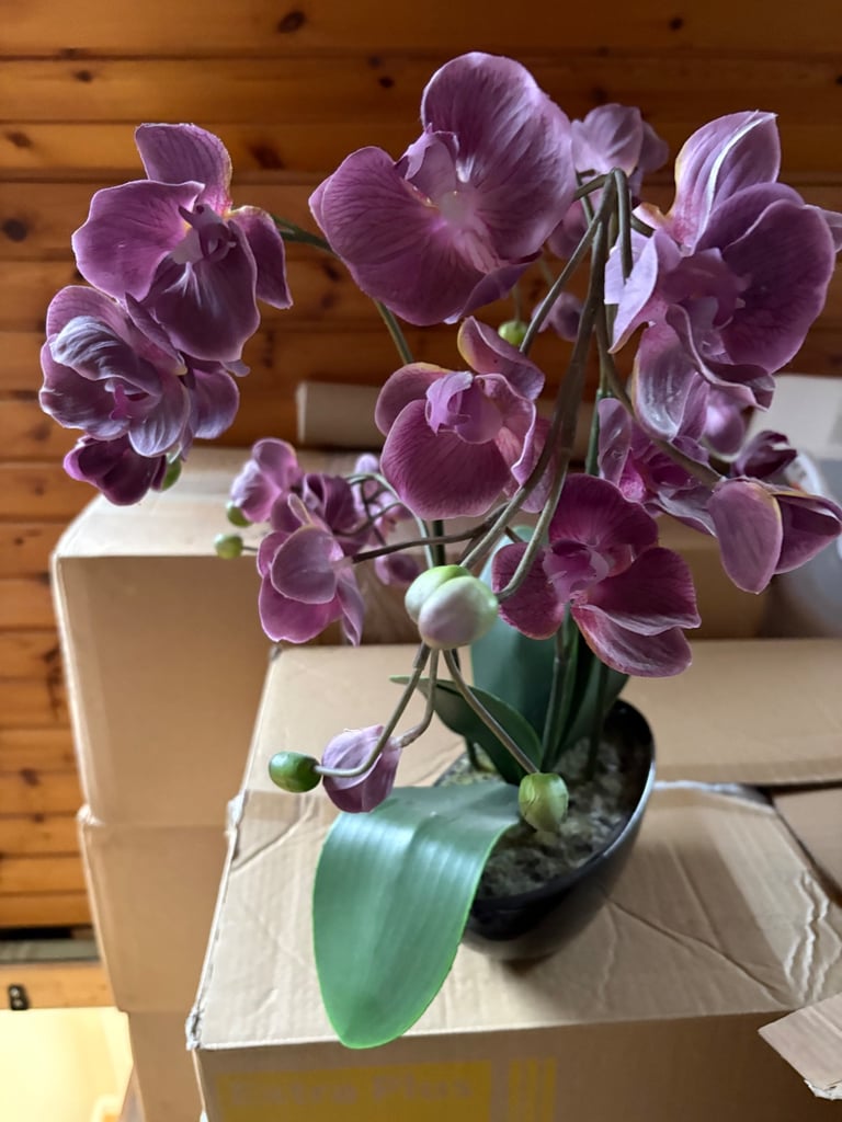 Few different Artificial plants 