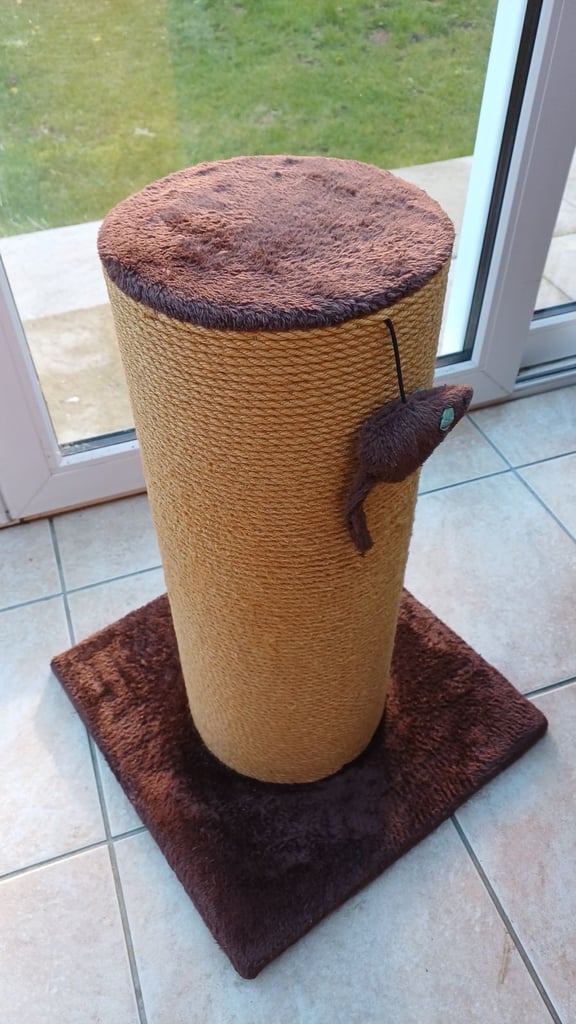 Cat beds, caves, blankets, grooming, scratch posts,litter tray