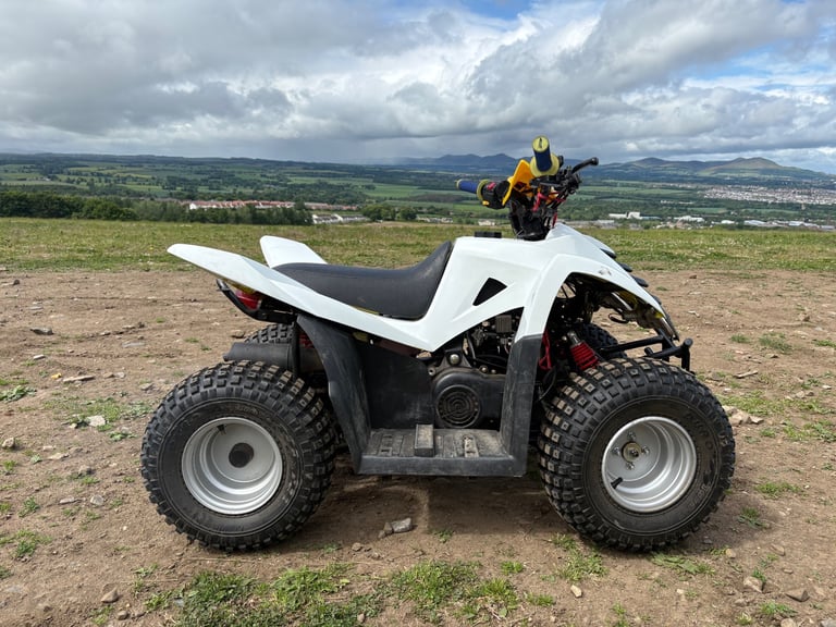 🔥Quadzilla qzr 80 