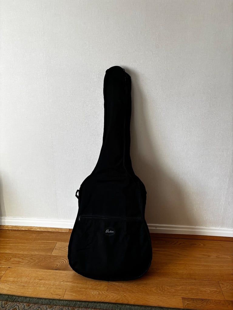 Acoustic Steel string guitar 