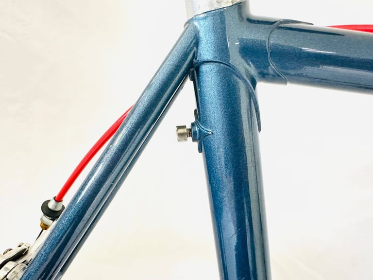 Ff  Pigeon VITUS Size/58 spDDd9a Original Spec Simplex Road Bike