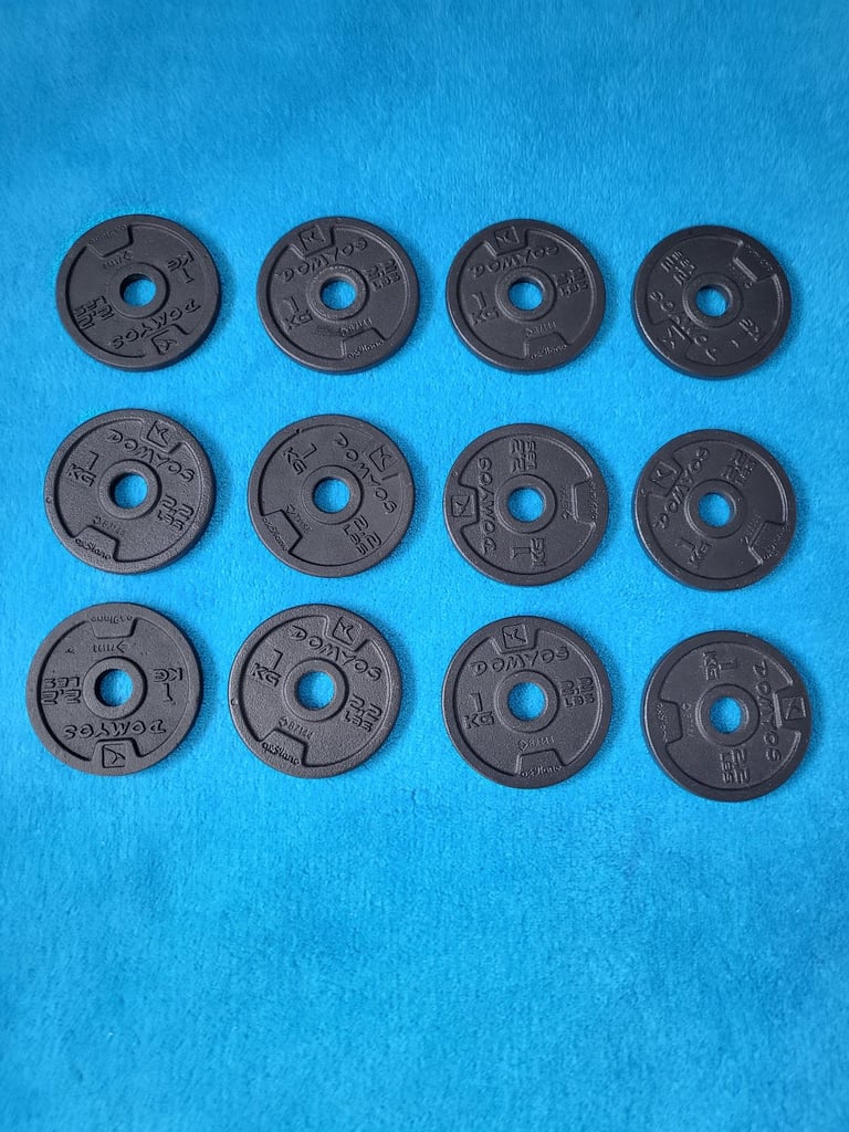 12x 1kg weight plates