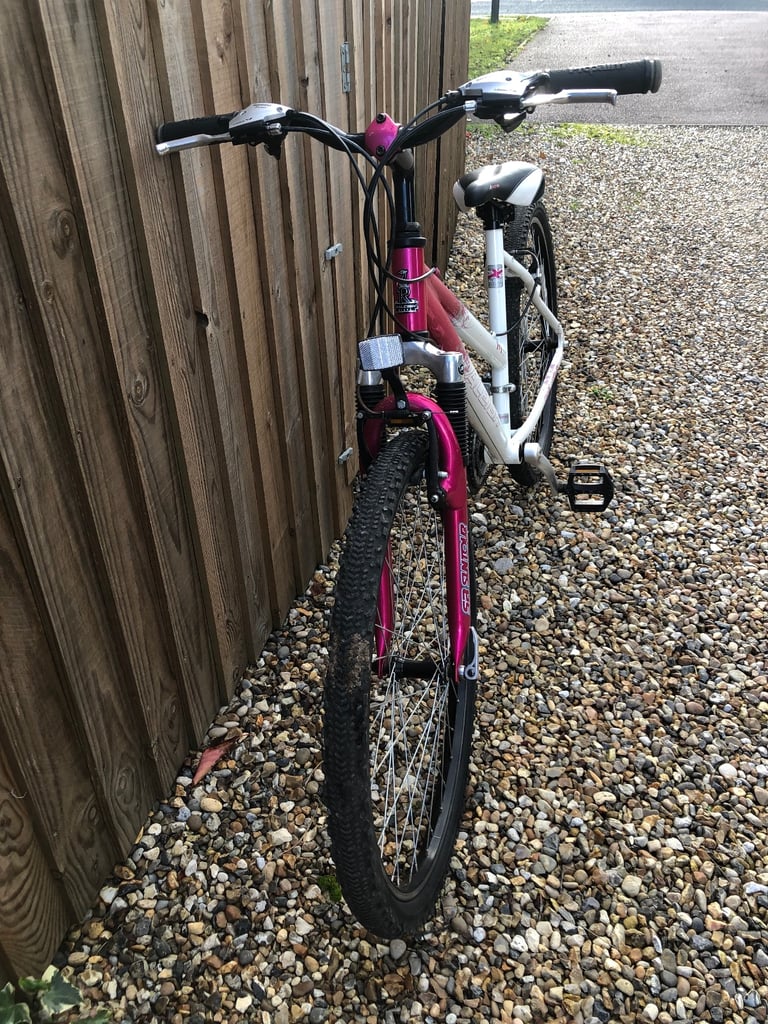 Girls/Ladies Raleigh AT10 cycle 