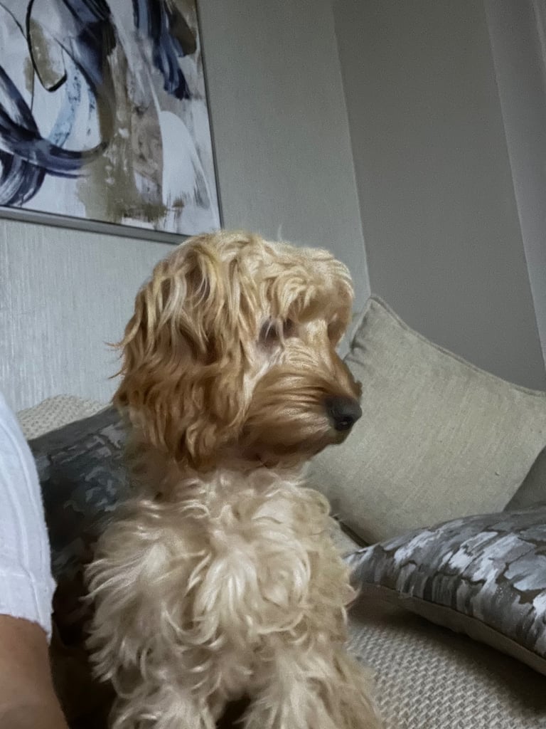 image for 7 months girl