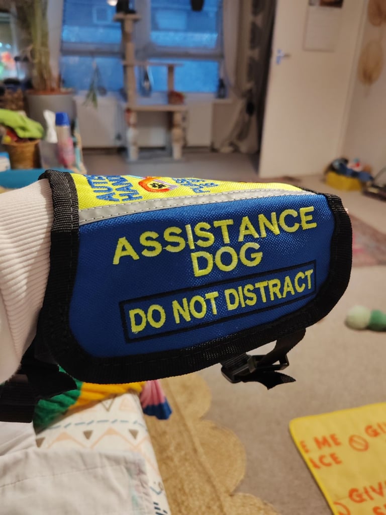 Autism assistance dog custom made vest xs 