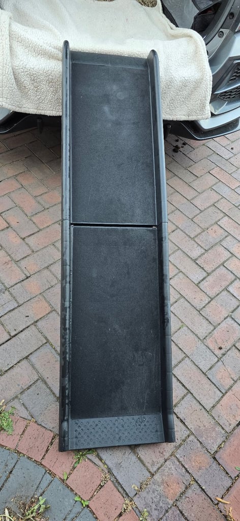 XL Dog ramp