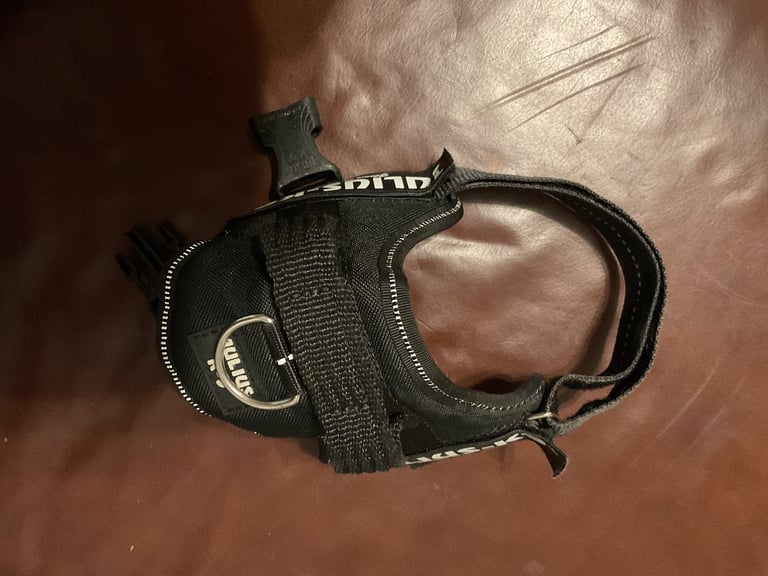 Julius k9 dog harness