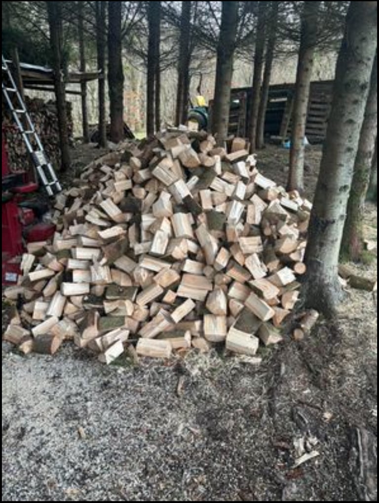 ❗️LOGS/FIREWOOD - KINDLERS❗️ 