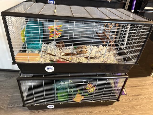 Animal Cages Savic Plaza Hamster And Rat Cage Savic Plaza Hamster