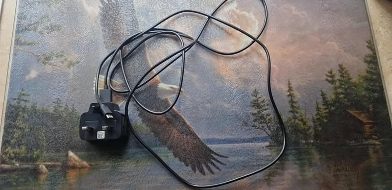 Samsung Travel Adapter Charger