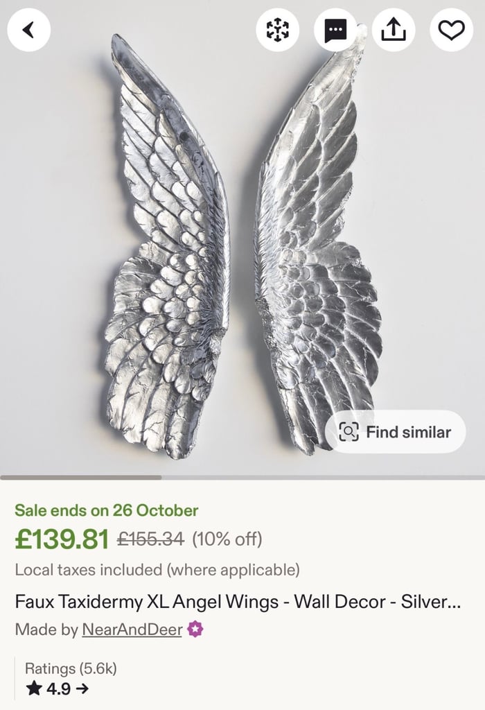 Beautiful Angel wings xtra large for wall. 