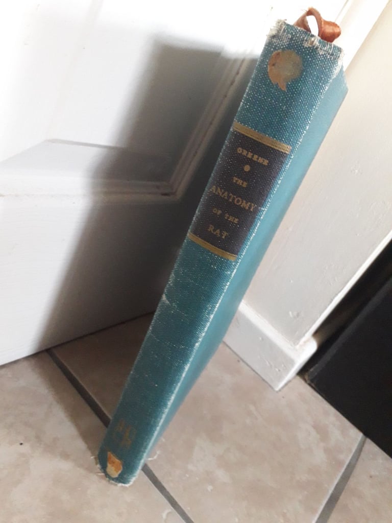 image for Anatomy of the Rat Eunice Chace Greene Published by Hafner Publishing Co., USA, 1963 (Rare book)