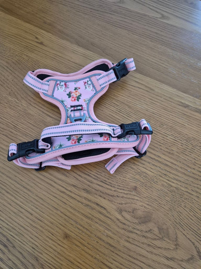 Dog harness 
