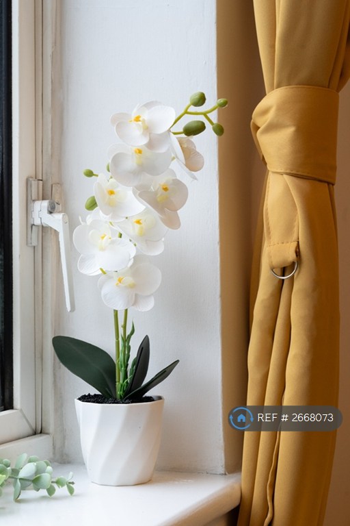 Studio flat in Merton Road, Southsea, PO5 (#2668073)