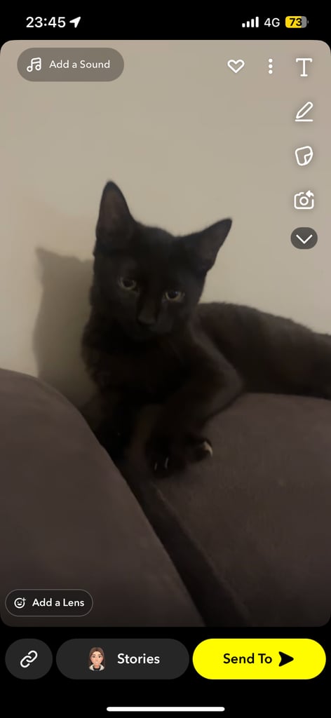 Urgent*** 1x black/white female, 1x black male