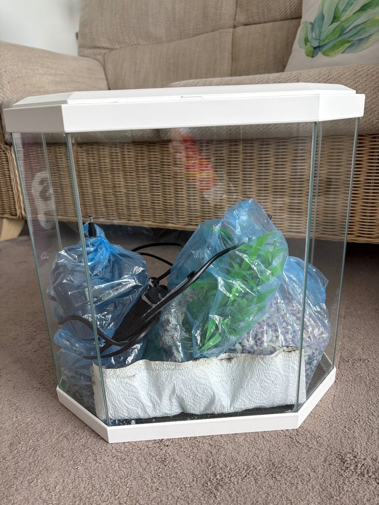 image for Fish Tank, Stones, Heater, Pump