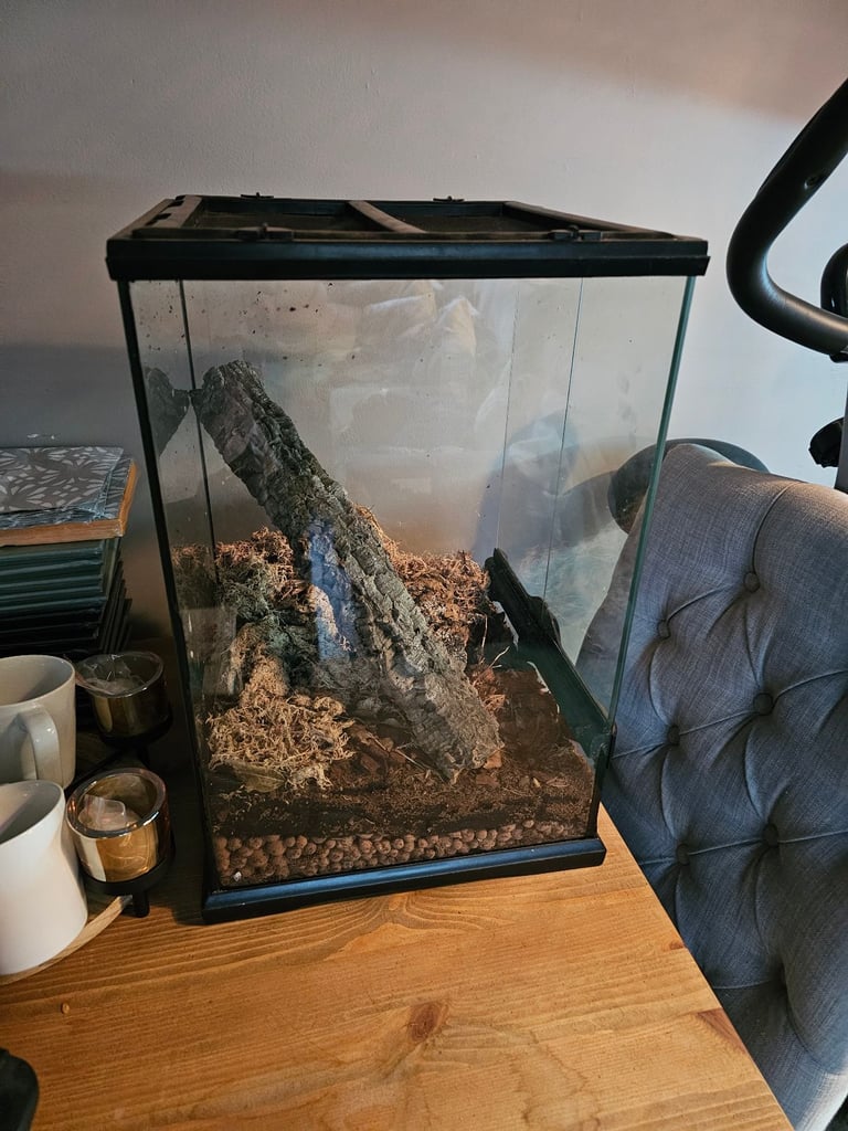 Exo terra glass tank enclosure terranium for frogs, spider or juvenile cresties