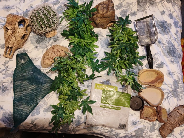Various Reptile Accessories 