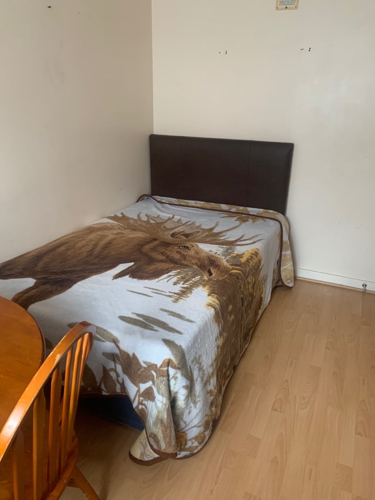 Beautiful double room available in Forest Hill SE23