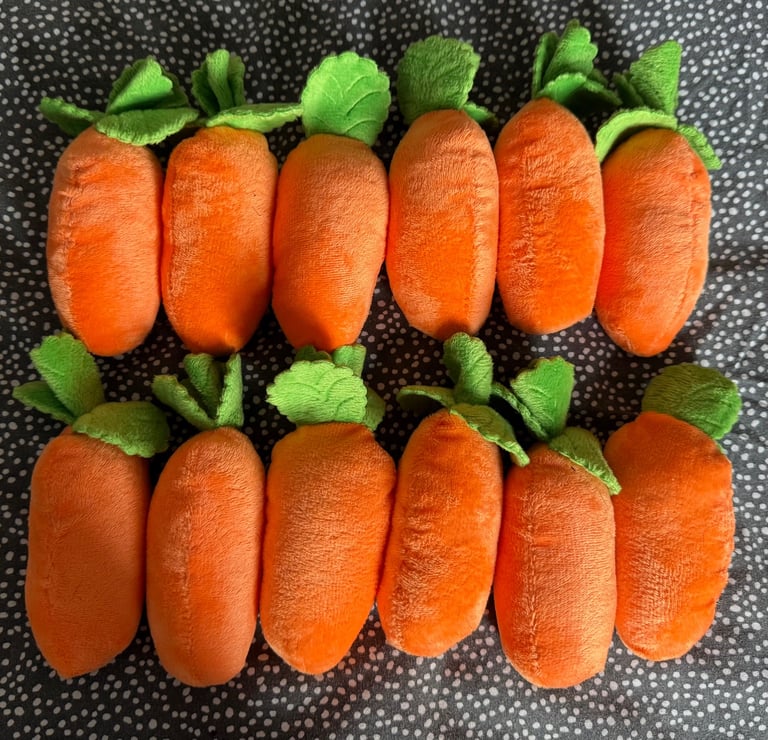 Interactive Treat-Hiding Toy for Dogs - Carrot Garden