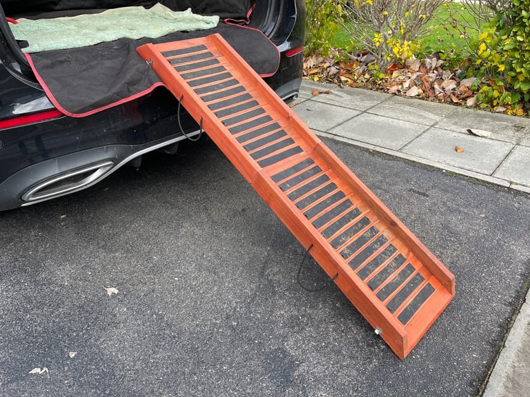 Dog ramp 
