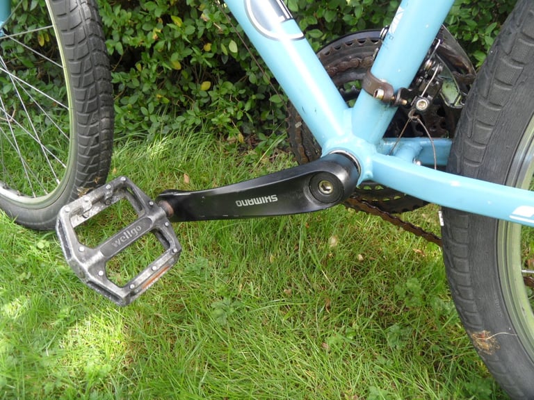 Men's Mountain Bike Blue Carerra Parva Ltd edition