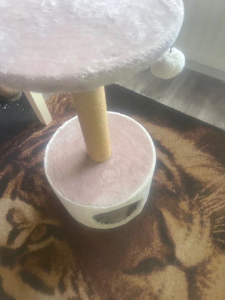 Cat scratcher 