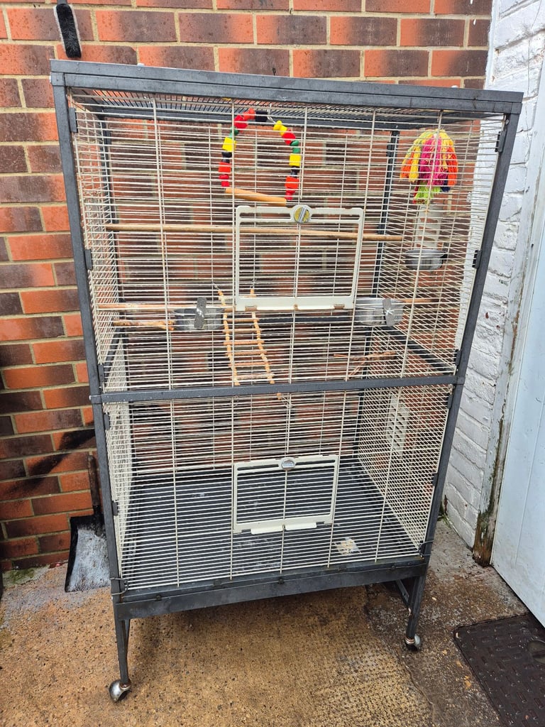 image for Bird cage 
