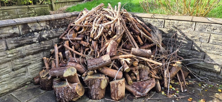 image for bonfire wood