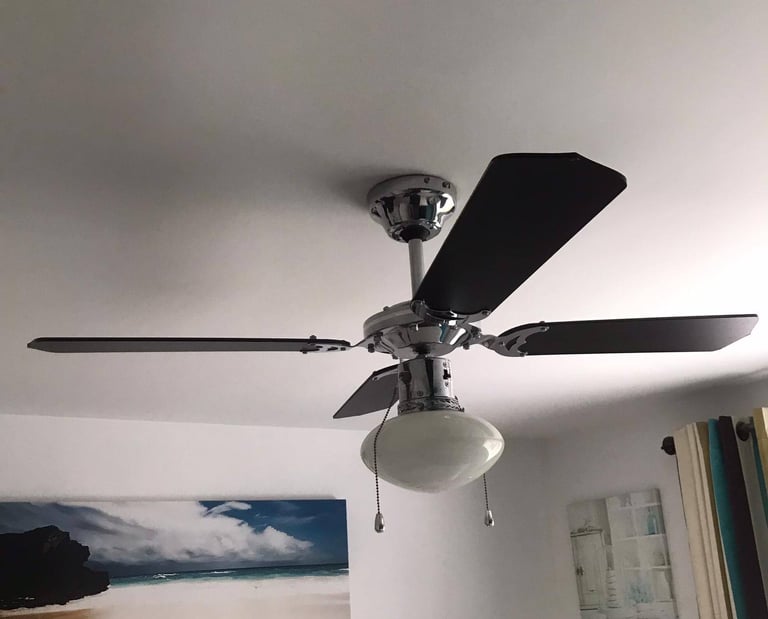 Ceiling fan light
