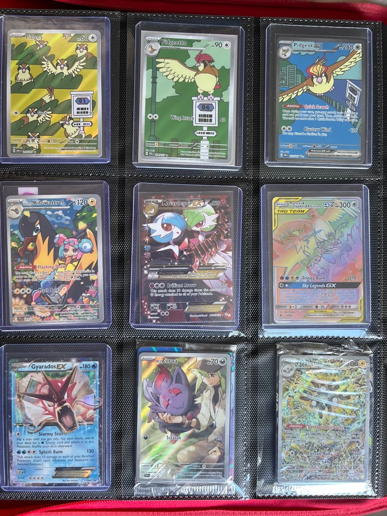 Pokemon TCG Cards Binder Collection - NM condition