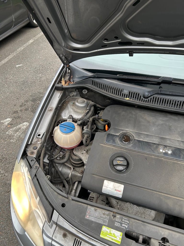 Polo Automatic 2006