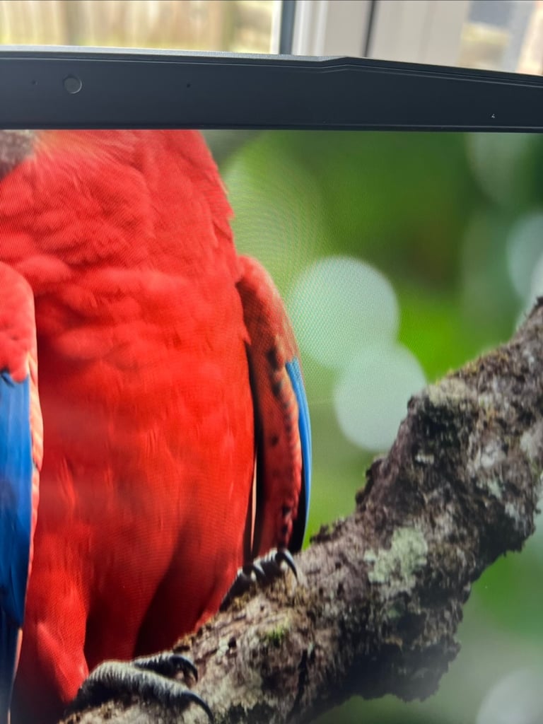 MSI GF65 Thin 10UE Gaming Laptop – i7-10750H / RTX 3060 / 16GB RAM / 512GB SSD + Bag & Cooling Pad