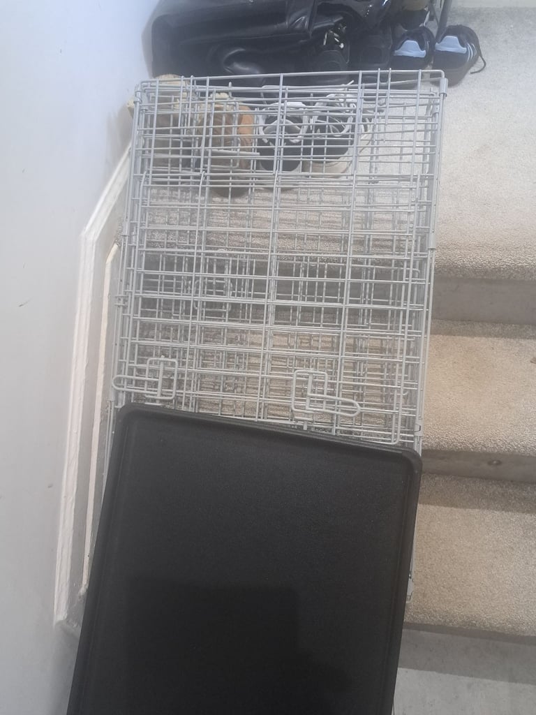 Small dog crate free