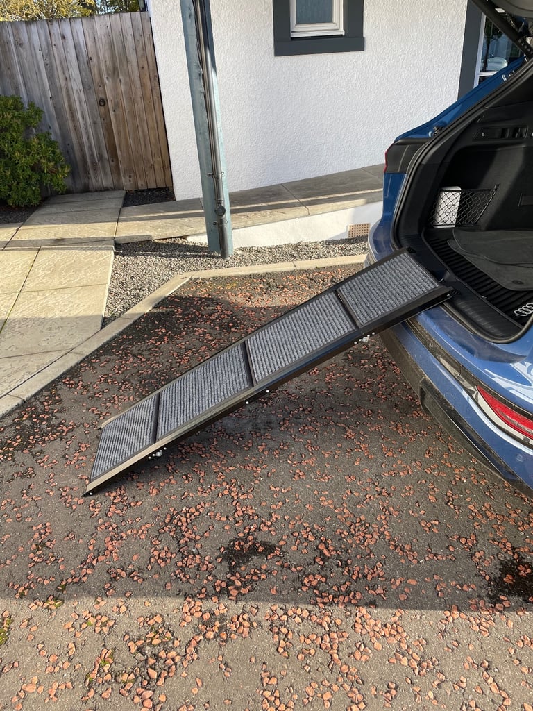 Foldable Metal Dog Ramp