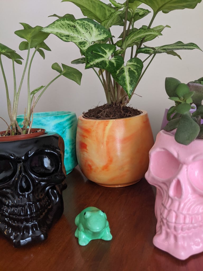 image for Houseplant Pot in orange with FREE pet frog 🤣🥰