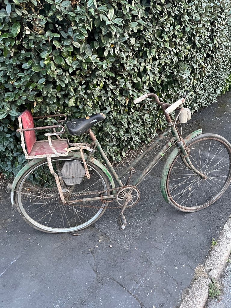 Raleigh budgie and more